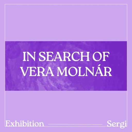 Reflections on the Theme: The Logic of Chance and the Language of Aesthetics